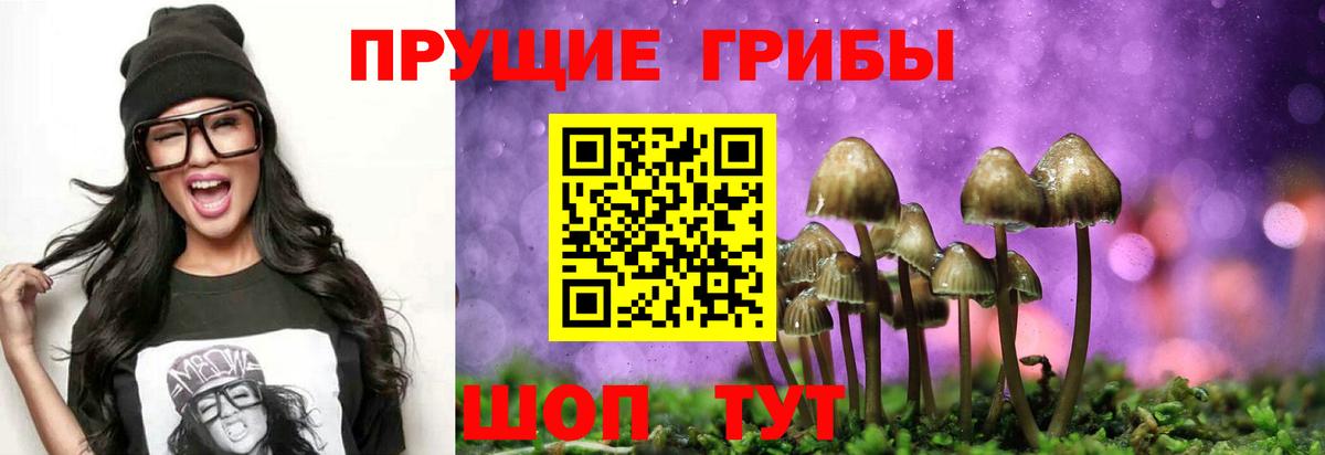 Псилоцибиновые грибы Psilocybine cubensis Россошь
